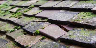 Creslow roof repair costs